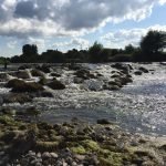 Rocks